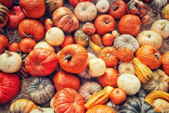 خواص و فواید شگفت انگیز کدو حلوایی (تنبل) برای سلامتی، پوست، مو