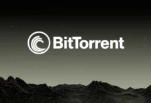 بیت تورنت