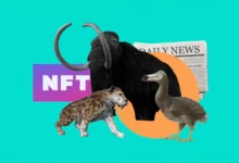 what is the point of NFT