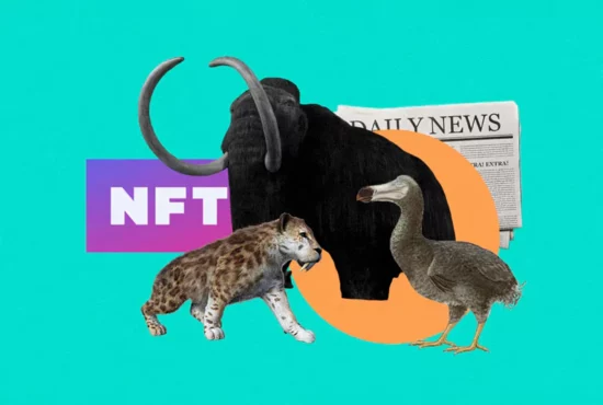 what is the point of NFT