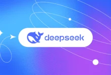 introducing deepseek