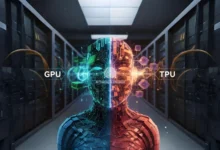TPU vs. GPU